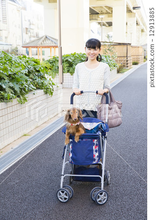 A woman walking with a dog A woman walking with a dog 12913885