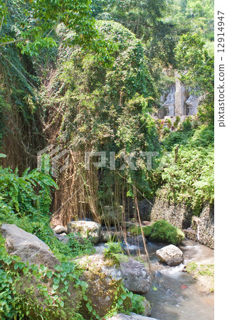 Park nearby Temple-tomb imperial family. Gunung-Kavi. Bali. Indonesia. .. 12914947