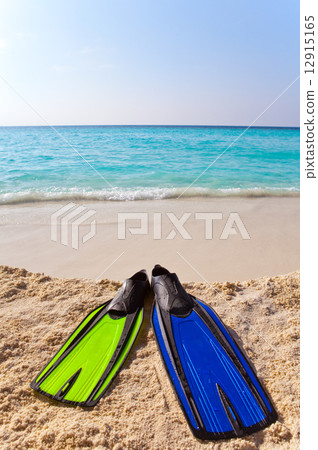 different colors flippers on sand at sea edge 12915165