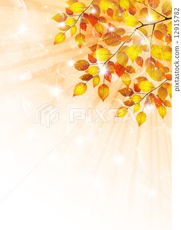 Maple leaves scenery 12915782