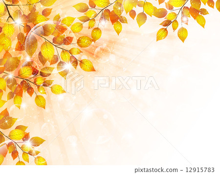 Maple leaves scenery Maple leaves scenery 12915783