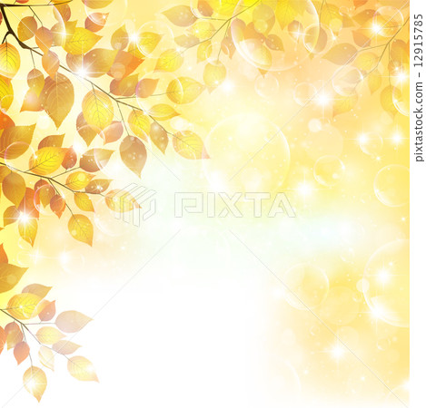 Maple leaves scenery Maple leaves scenery 12915785