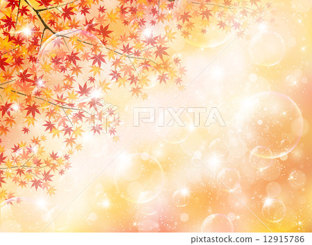 Maple leaves scenery 12915786