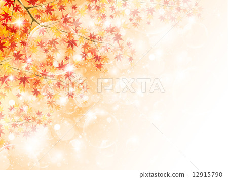 Maple leaves scenery Maple leaves scenery 12915790