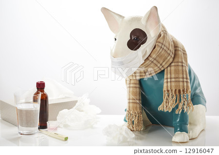The cold season The cold season 12916047