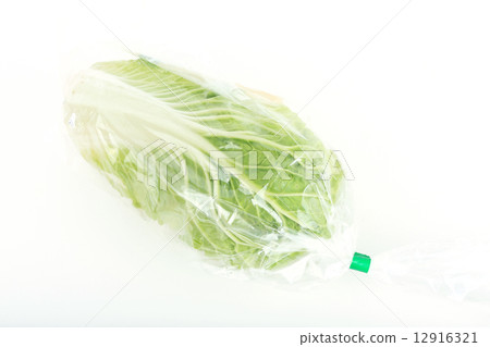 chinese cabbage wrapped in a plastic bag chinese cabbage wrapped in a plastic bag 12916321