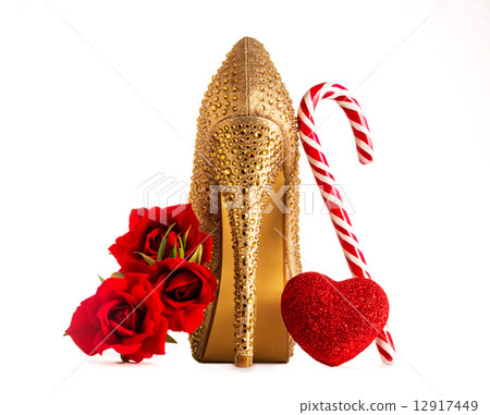 Christmas for adult women 12917449