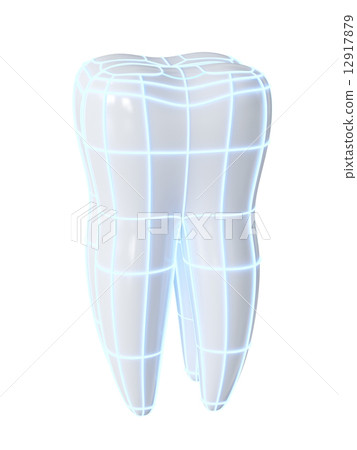 White tooth with safeguard wire 12917879