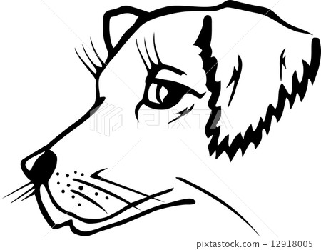 Dog head Dog head 12918005