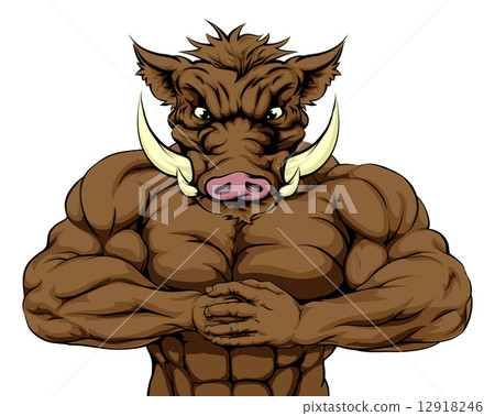 Strong Boar Mascot 12918246