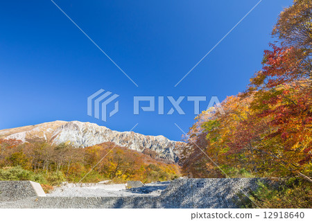 Autumn leaves of Oyama 12918640