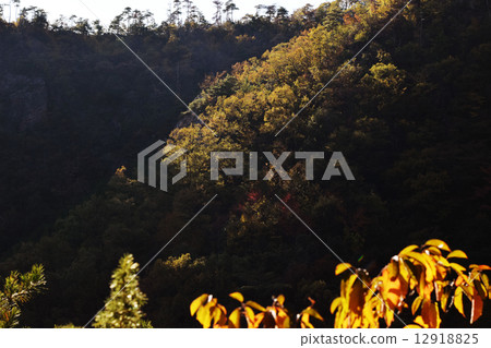 Yomagamono Yamanaka 12918825