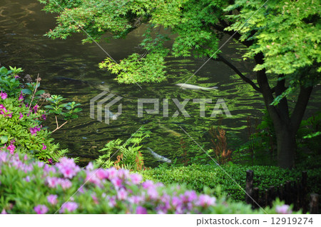 池田聖公園 12919274