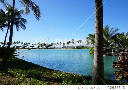 Hawaiian Beach 12922843