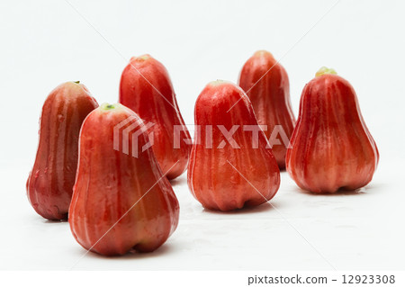 rose apple 12923308