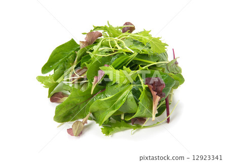 Baby leaf Baby leaf 12923341