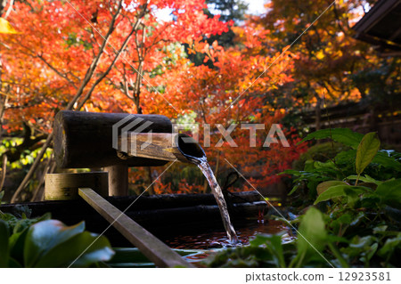 京都Ohara馬在寺廟秋葉 12923581
