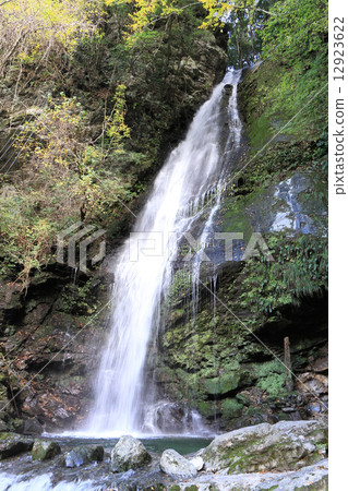 Tokijima prefecture Miyoshi City, Iwatani near Kazura Bridge "biwa no waterfall" 12923622