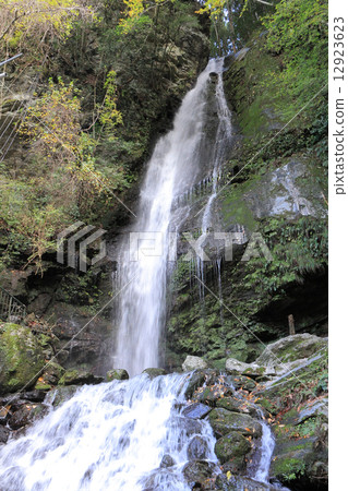Tokijima prefecture Miyoshi City, Iwatani near Kazura Bridge "biwa no waterfall" 12923623