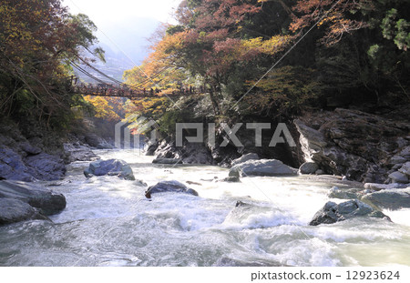 Tokushima prefecture Miyoshi City, autumn "Kazura no Kazura Bridge" Tokushima prefecture Miyoshi City, autumn "Kazura no Kazura Bridge" 12923624