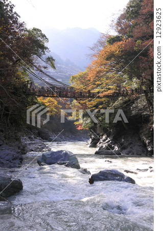 Tokushima prefecture Miyoshi City, autumn "Kazura no Kazura Bridge" Tokushima prefecture Miyoshi City, autumn "Kazura no Kazura Bridge" 12923625