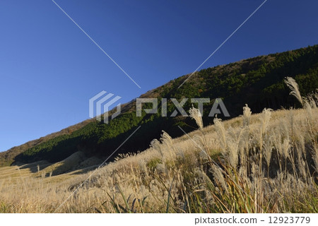 深秋的Susuki草原 12923779