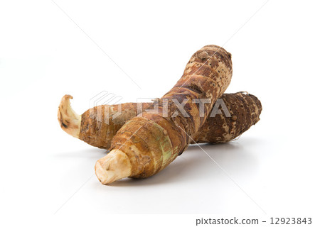 Ebiimo of Kyoto vegetables Ebiimo of Kyoto vegetables 12923843