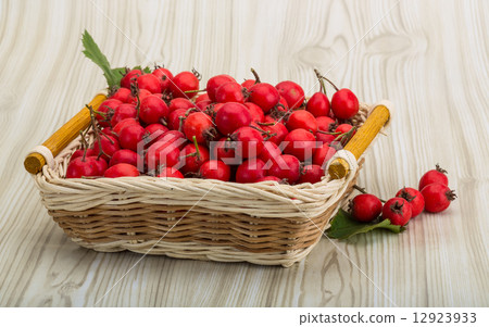 Hawthorn Hawthorn 12923933