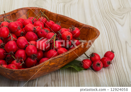 Hawthorn 12924058