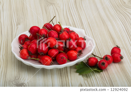 Hawthorn Hawthorn 12924092