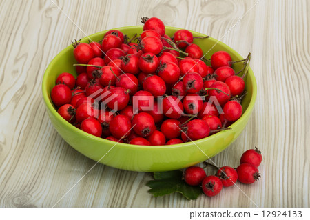 Hawthorn Hawthorn 12924133