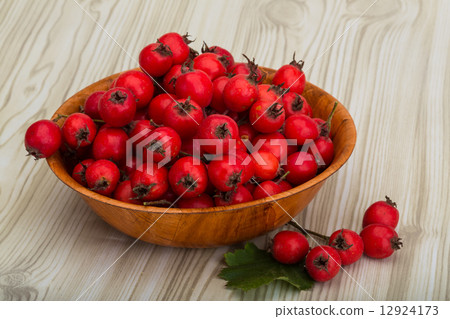 Hawthorn Hawthorn 12924173