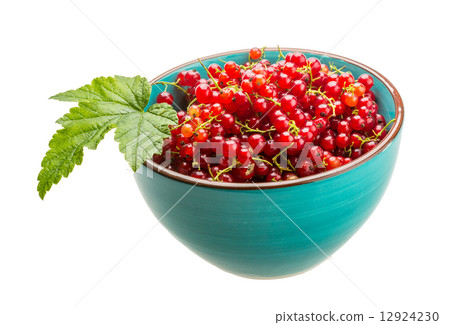 Red currant Red currant 12924230