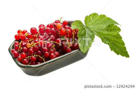 Red currant Red currant 12924294