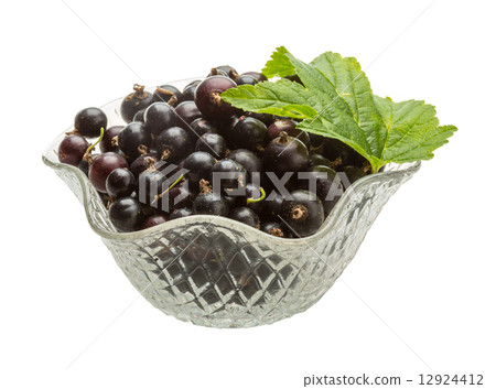 Black currant Black currant 12924412