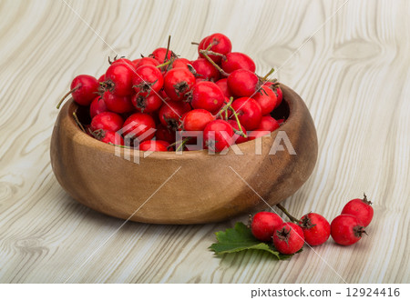 Hawthorn Hawthorn 12924416