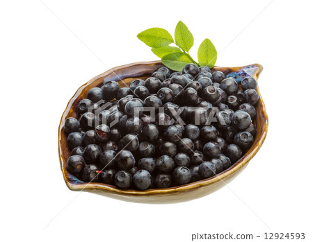 Blueberry 12924593
