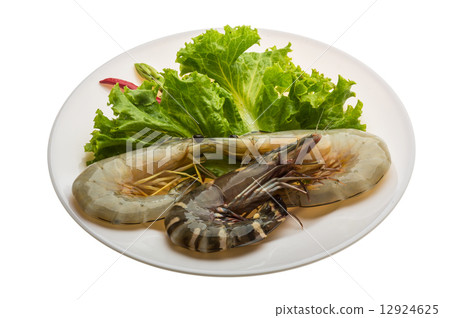 King and waterleg shrimps King and waterleg shrimps 12924625