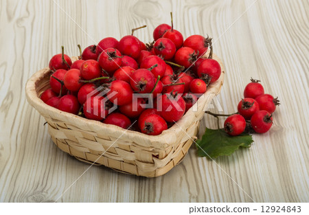 Hawthorn Hawthorn 12924843