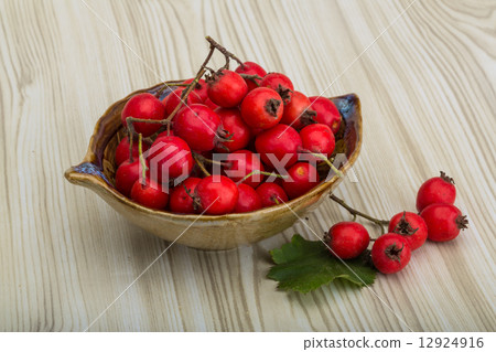 Hawthorn Hawthorn 12924916