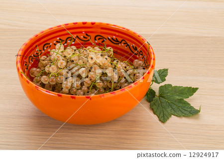 White currant 12924917