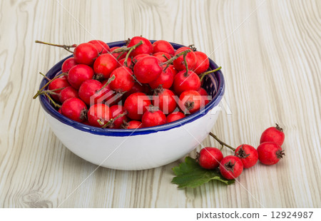 Hawthorn Hawthorn 12924987