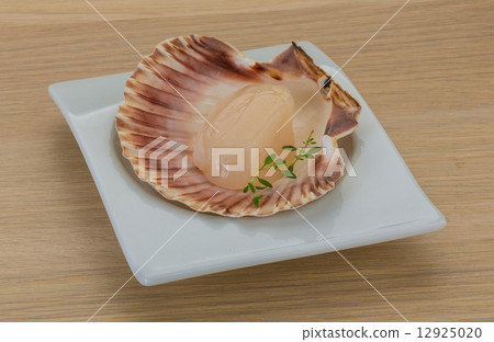 Raw scallops 12925020