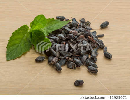 Berberis Berberis 12925071