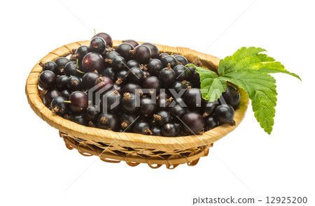 Black currant Black currant 12925200