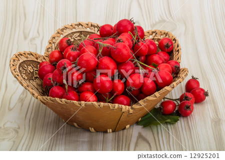 Hawthorn Hawthorn 12925201