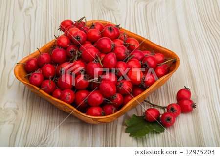 Hawthorn Hawthorn 12925203