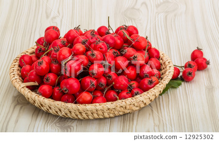 Hawthorn Hawthorn 12925302