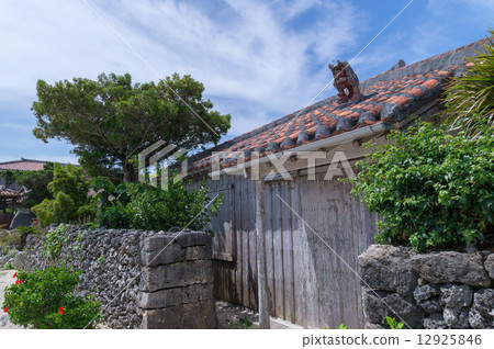 竹富島村 12925846
