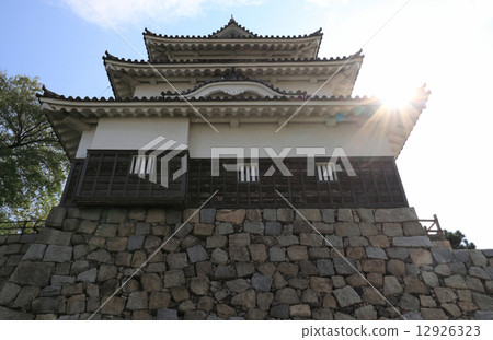 Kagawa prefecture Marugame-shi Kameyama Park "Marugamei Castle" dressmaker Kagawa prefecture Marugame-shi Kameyama Park "Marugamei Castle" dressmaker 12926323